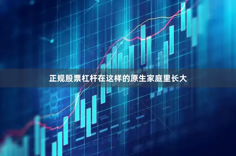 正规股票杠杆在这样的原生家庭里长大