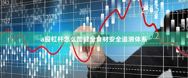 a股杠杆怎么加健全食材安全追溯体系