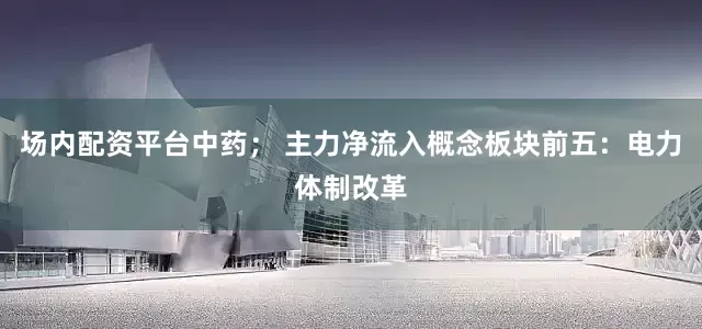 场内配资平台中药； 主力净流入概念板块前五：电力体制改革